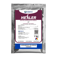 HEALER